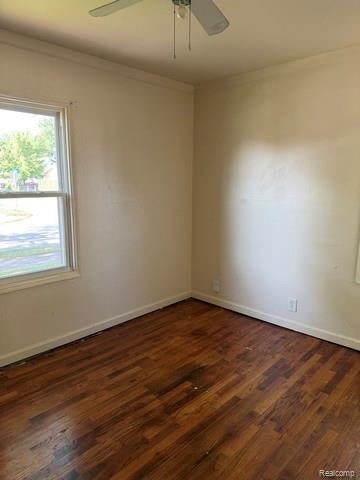19405 Meier Street