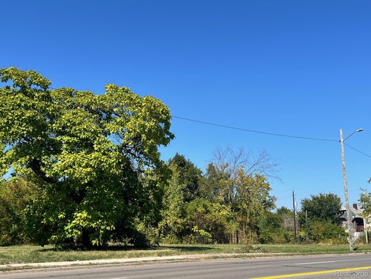2929 E VERNOR HWY, DETROIT, MI 48207 - Image 922d2dc1f5c0b5bc1bbdb4d8add8be5c/1141614764