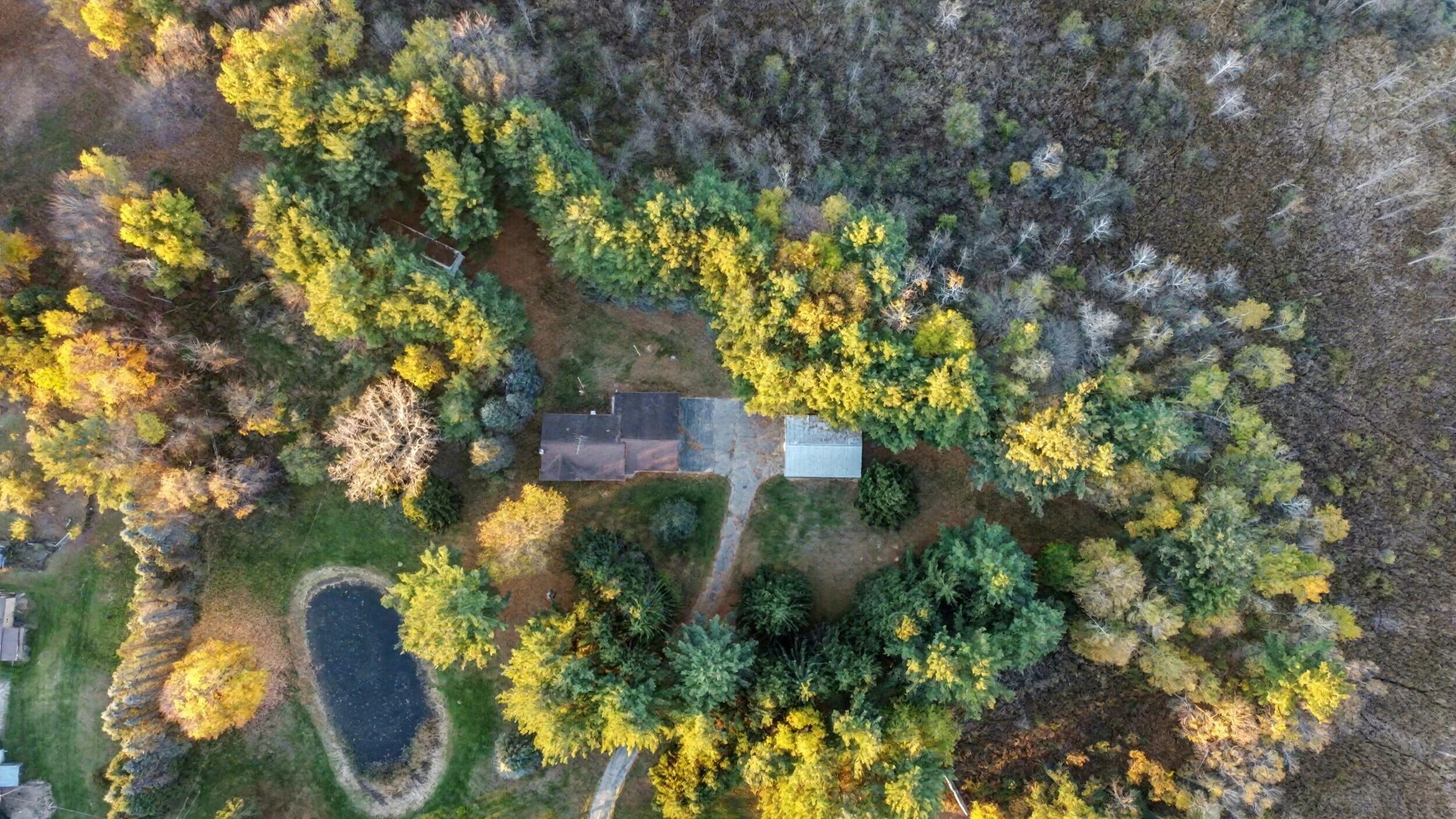 229 E Howard City Edmore Road