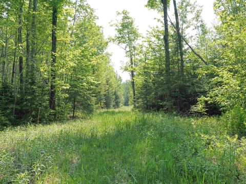 East US-2 Highway Marenisco Township MI 49947