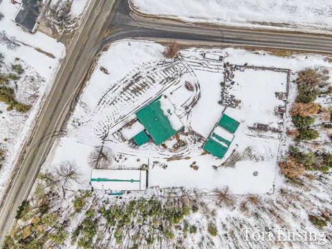 Tiny photo for 25/29 S Greenville Road, Montcalm Township, MI 48838 (MLS # 65026001843)