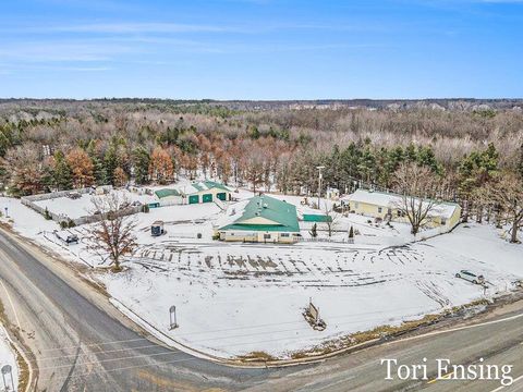 Tiny photo for 25/29 S Greenville Road, Montcalm Township, MI 48838 (MLS # 65026001843)