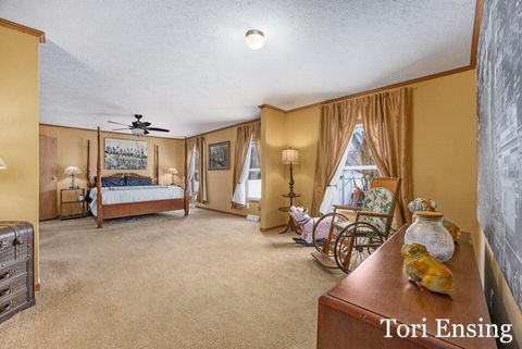 Tiny photo for 25/29 S Greenville Road, Montcalm Township, MI 48838 (MLS # 65026001843)