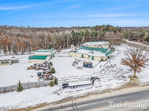 Tiny photo for 25/29 S Greenville Road, Montcalm Township, MI 48838 (MLS # 65026001843)