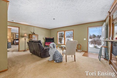 Tiny photo for 25/29 S Greenville Road, Montcalm Township, MI 48838 (MLS # 65026001843)