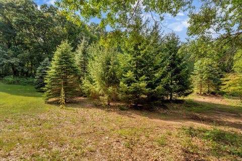 Tiny photo for 9505 Joel Road, Rose Township, MI 48442 (MLS # 58050219287)