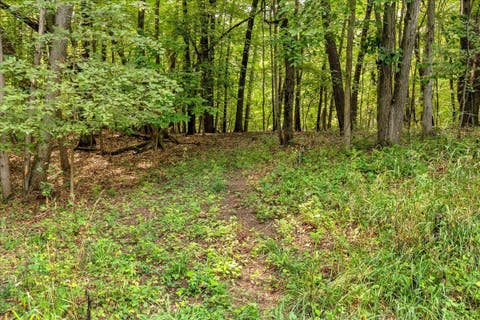 Tiny photo for 9505 Joel Road, Rose Township, MI 48442 (MLS # 58050219287)