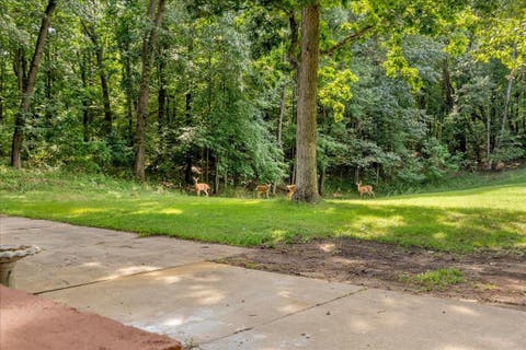 Tiny photo for 9505 Joel Road, Rose Township, MI 48442 (MLS # 58050219287)
