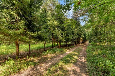 Tiny photo for 9505 Joel Road, Rose Township, MI 48442 (MLS # 58050219287)
