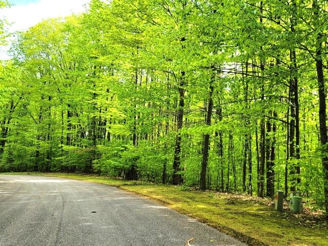 129-130 Laurel Valley