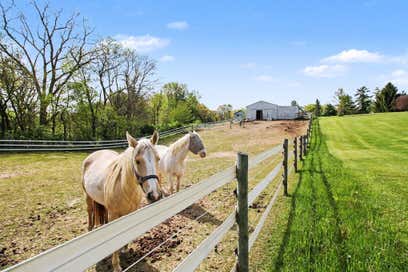 2536 W Coon Lake Road Marion Township MI 48843