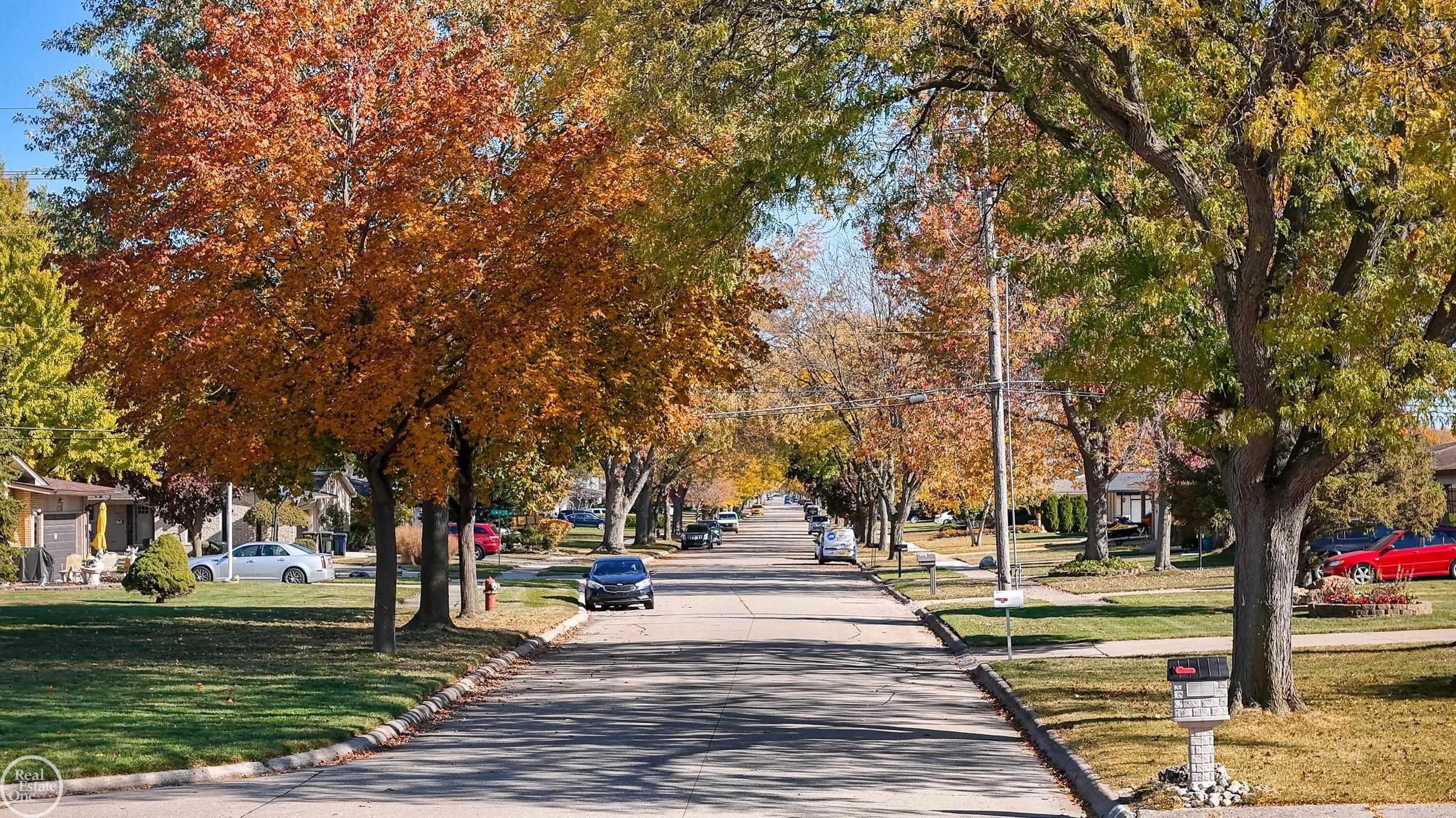 11115 Canterbury Drive