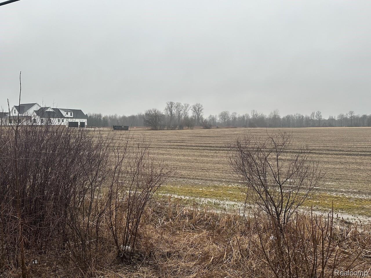 0000 Romeo Plank Road