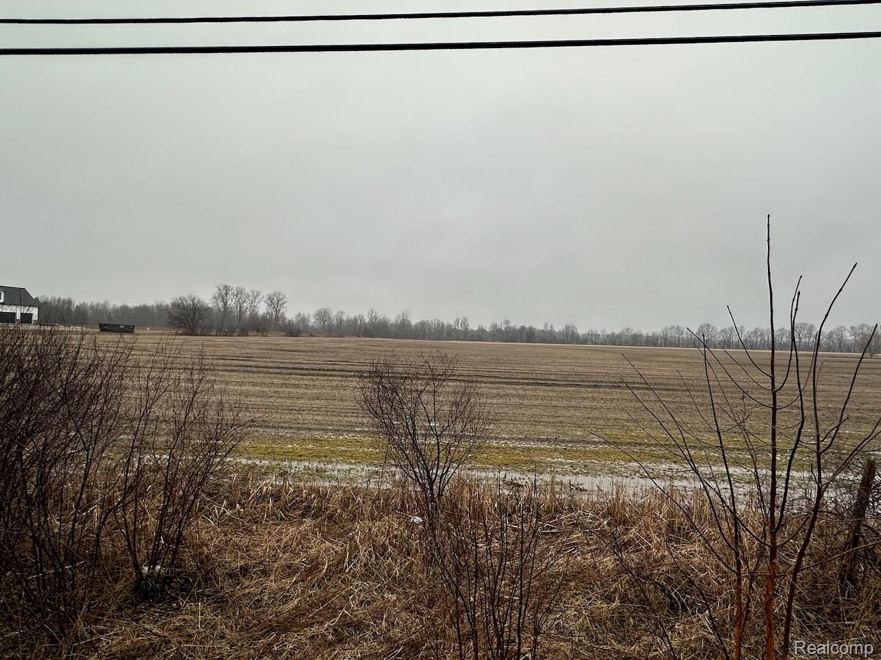 0000 Romeo Plank Road