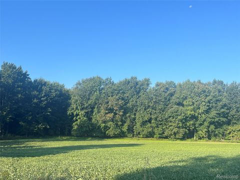 02 Howland Road Almont Township MI 48003