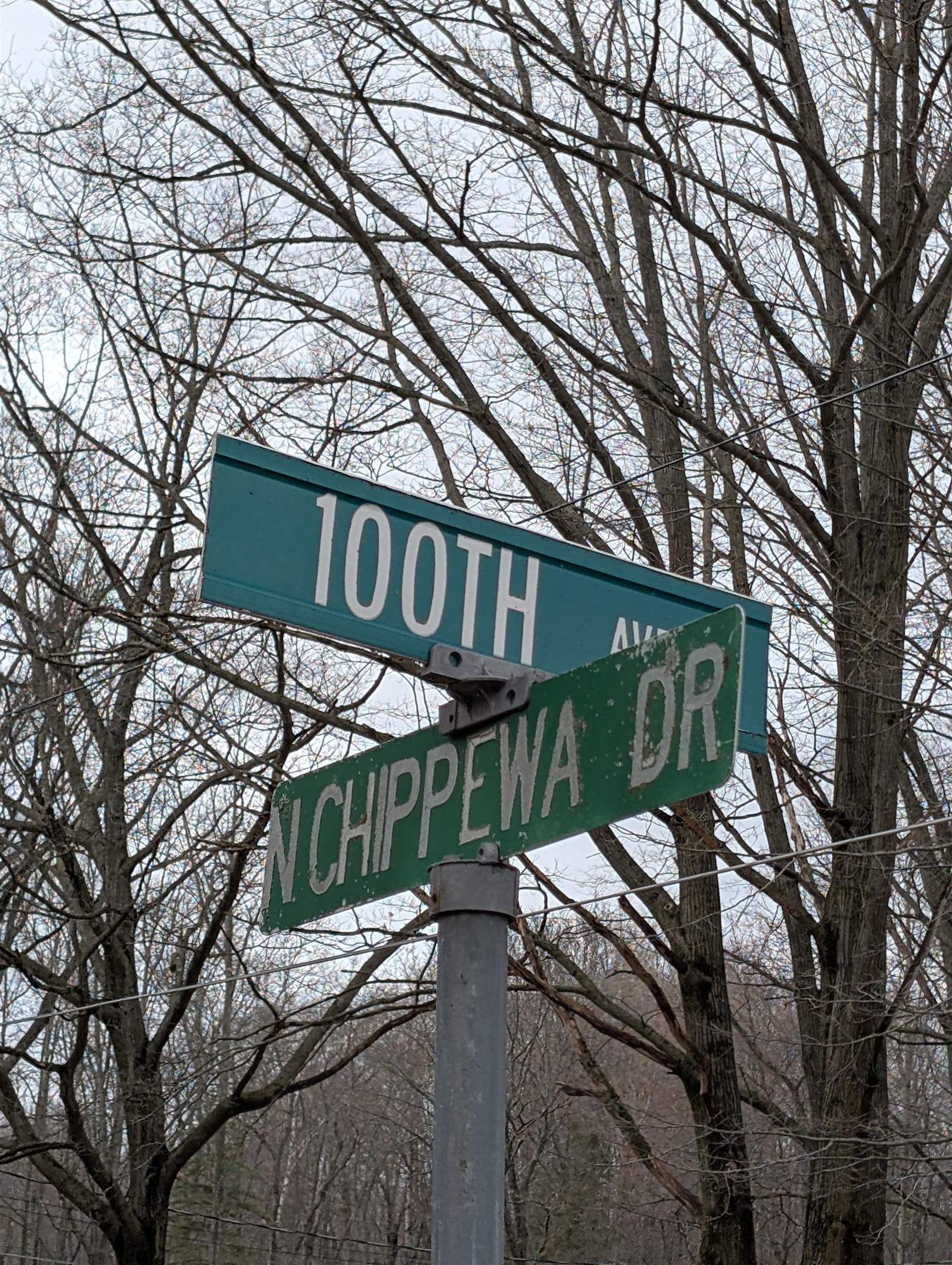 VL West Chippewa Drive