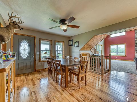 Tiny photo for 4648 S County Line Highway, Deerfield Township, MI 49238 (MLS # 57050208360)