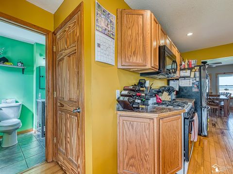 Tiny photo for 4648 S County Line Highway, Deerfield Township, MI 49238 (MLS # 57050208360)