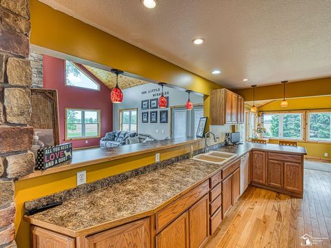 Tiny photo for 4648 S County Line Highway, Deerfield Township, MI 49238 (MLS # 57050208360)