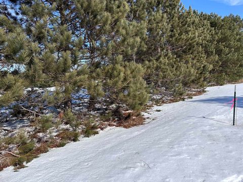 Honor Highway Inland Township MI 49643