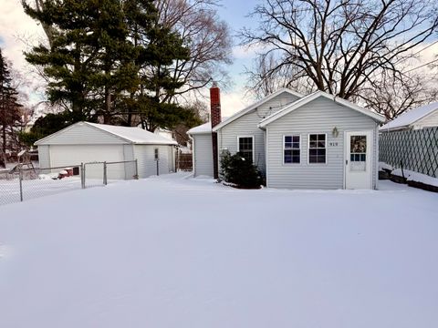 919 Lincoln Street Jackson City MI 49202