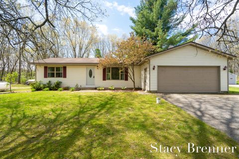 2620 138th Avenue Salem Township MI 49323
