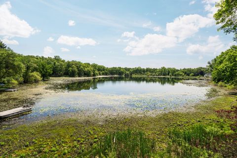Tiny photo for 210 Spring Lake Drive, Sylvan Township, MI 48118 (MLS # 81026025945)