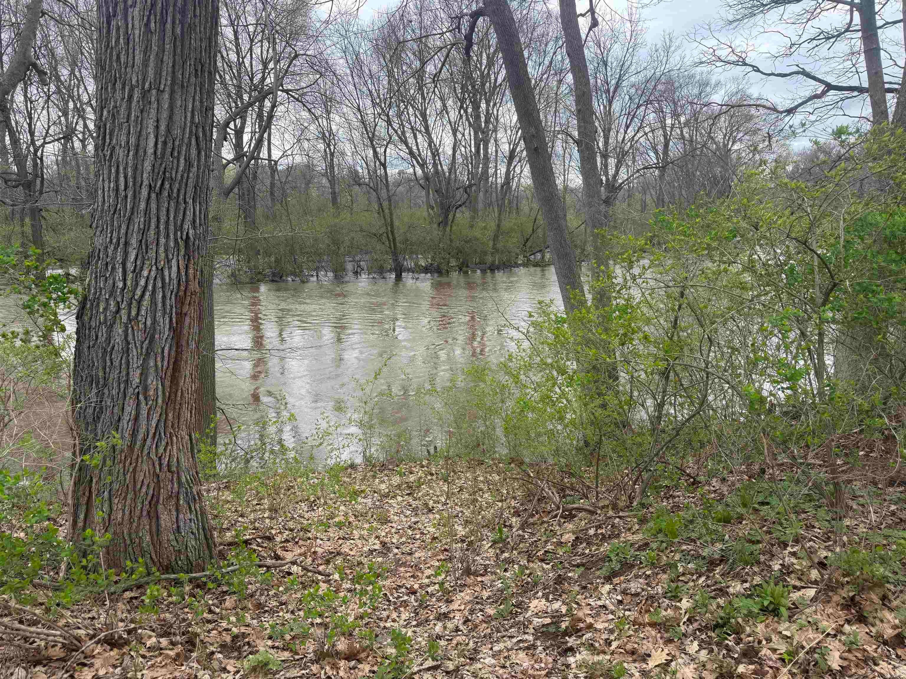 3715 N M-52 Road