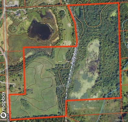 VL S MILL ROAD, DRYDEN, MI 48428 - Image 949fdbffb93ce90dc9effba29de3f683/838724385