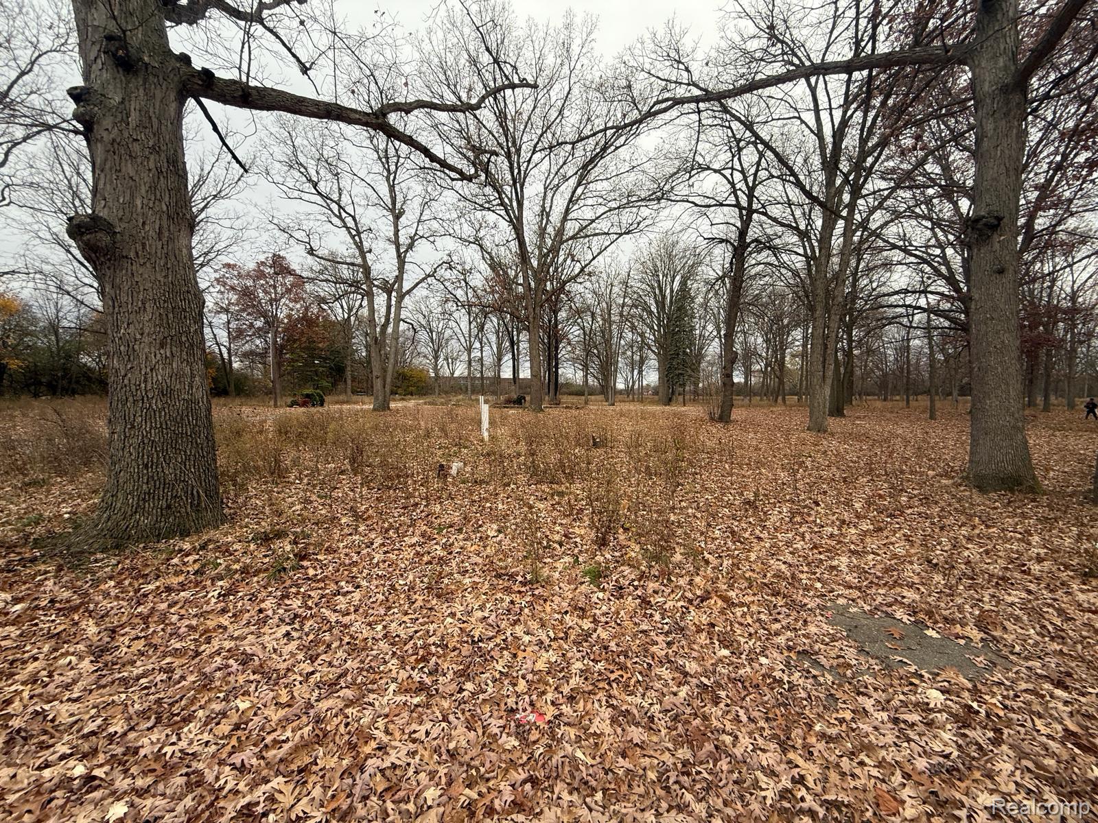 3073 W Dayton Street