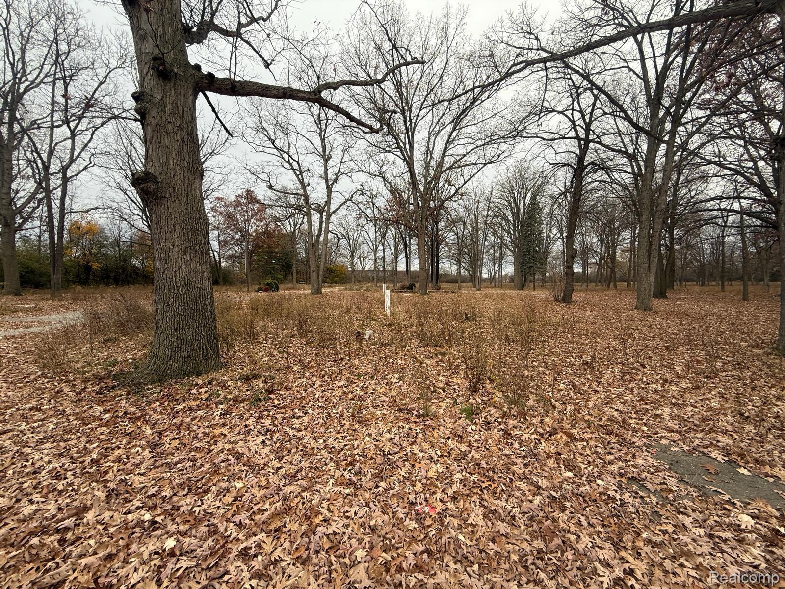 3073 W Dayton Street