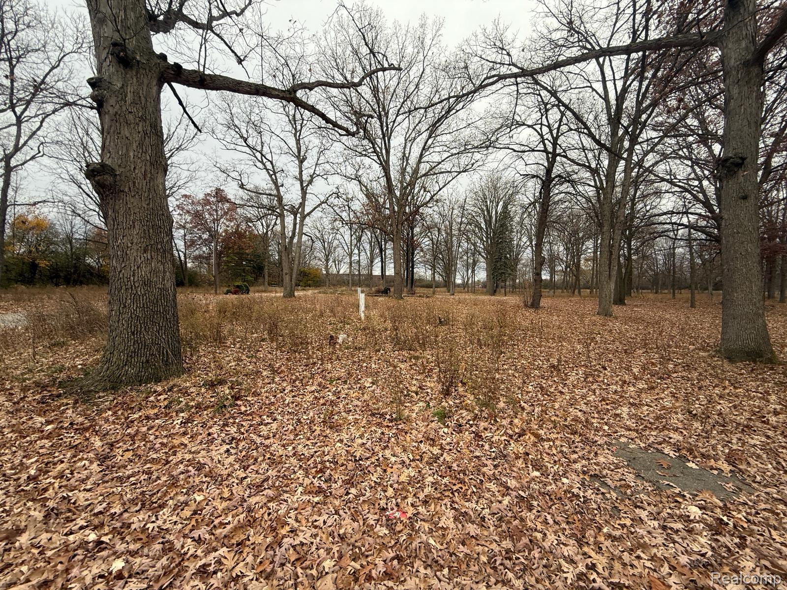 3073 W Dayton Street