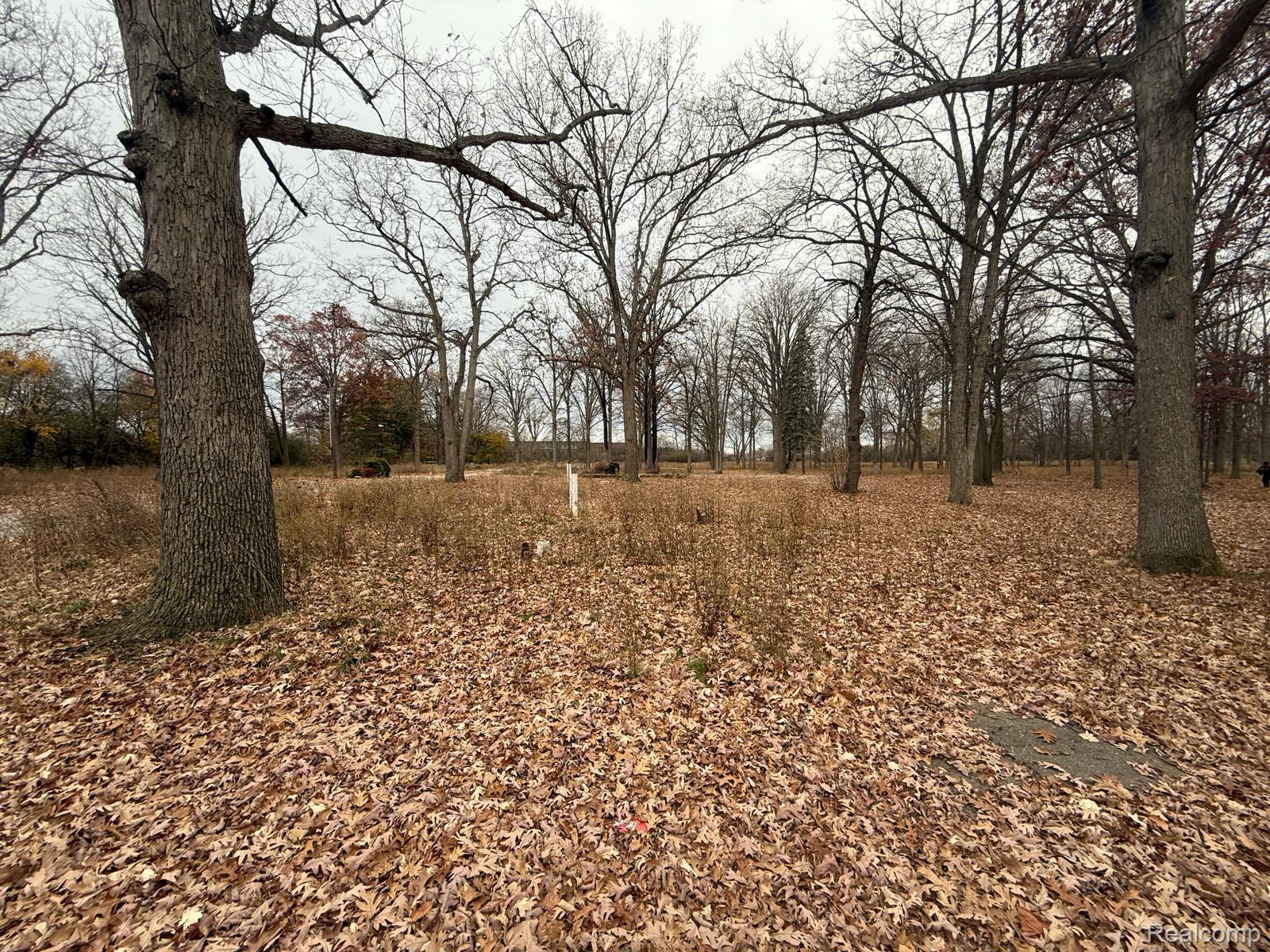 3073 W Dayton Street