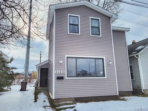 Photo of 34633 Brush Street, Wayne City, MI 48184 (MLS # 20251059979)