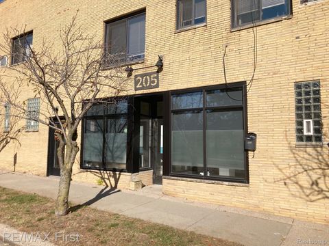 205 Dewey Street Royal Oak City MI 48067