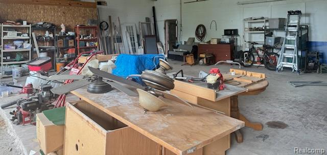 Peck Village, Michigan 48466, United States, ,Commercial,Active,206048