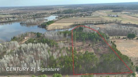 VL Lang Road Beaverton Township MI 48612