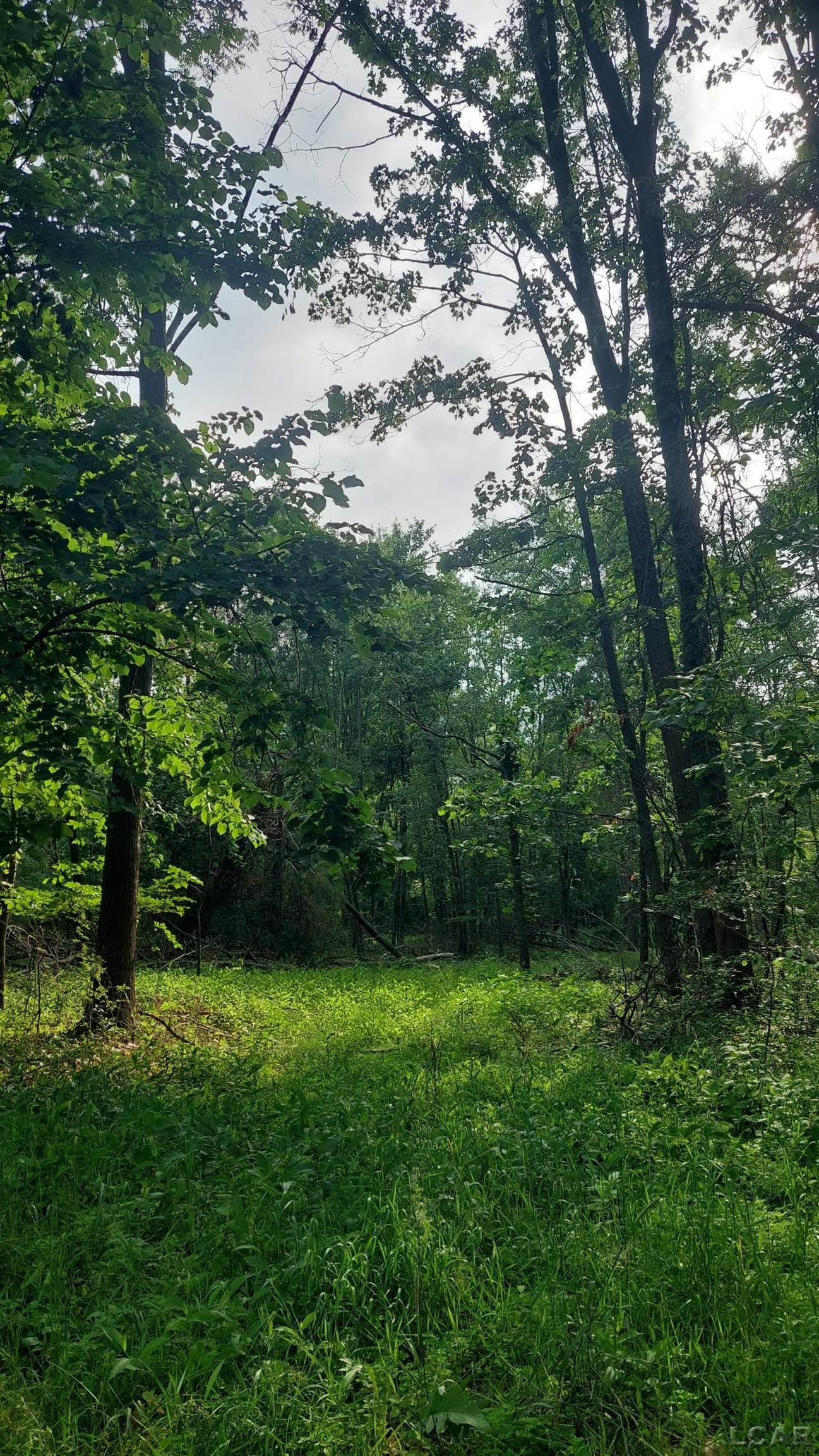 W Mosherville Road