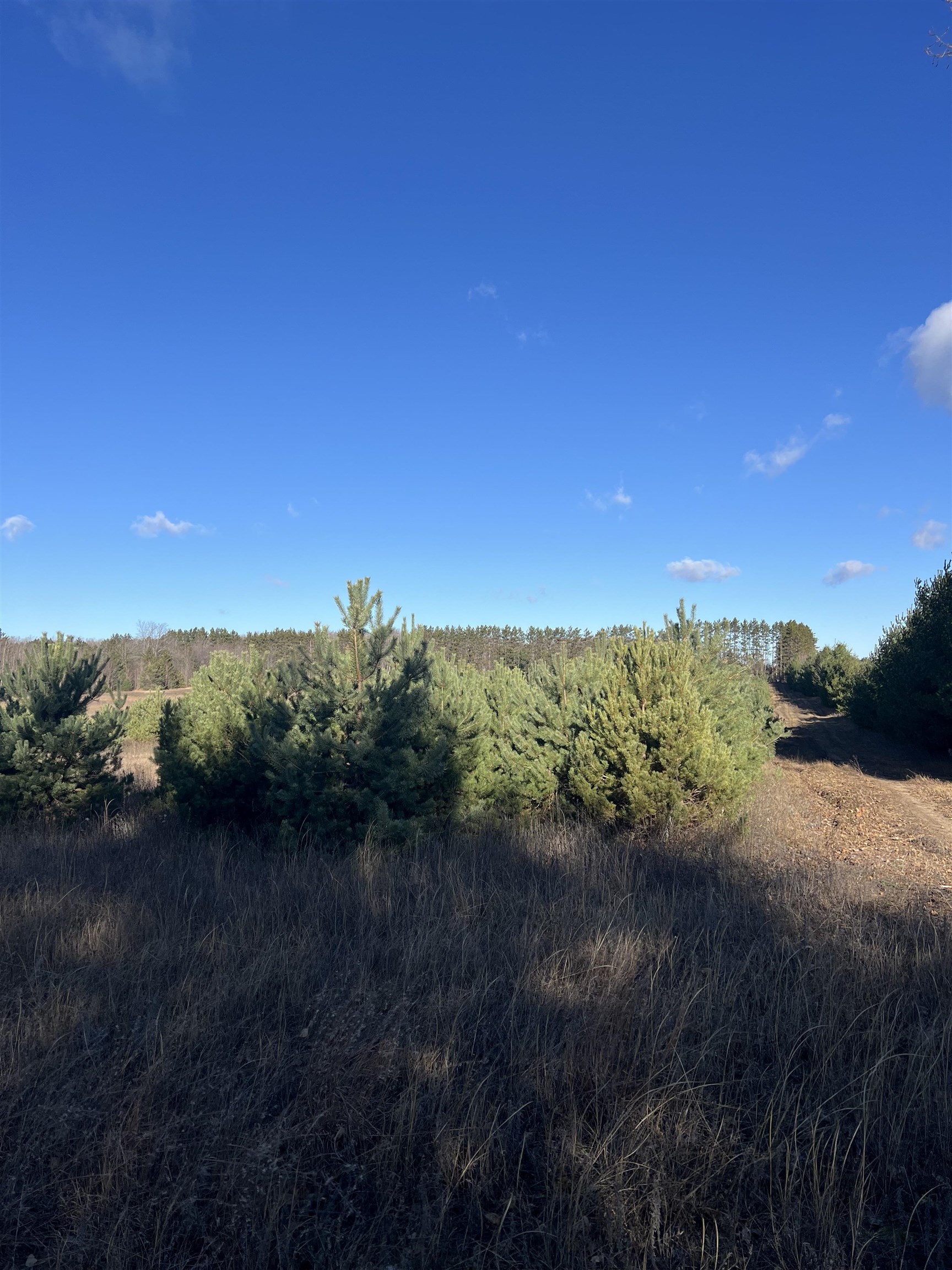 Vacant Land Johnson Road