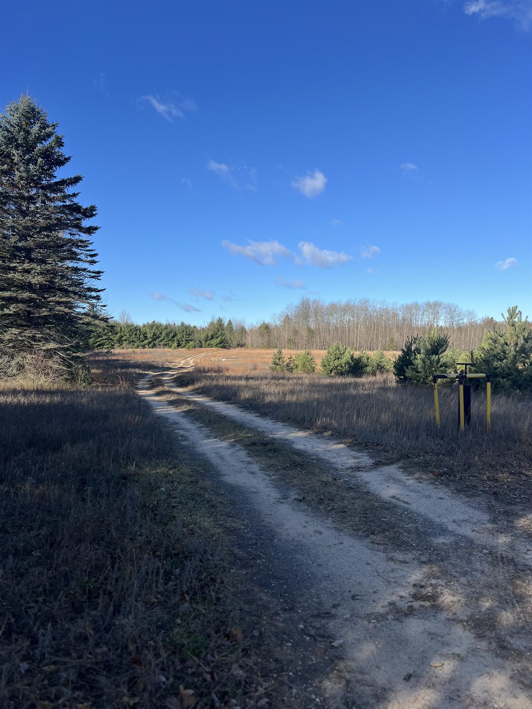 Vacant Land Johnson Road