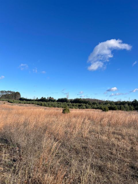 Vacant Land Johnson Road Custer Township MI 49615