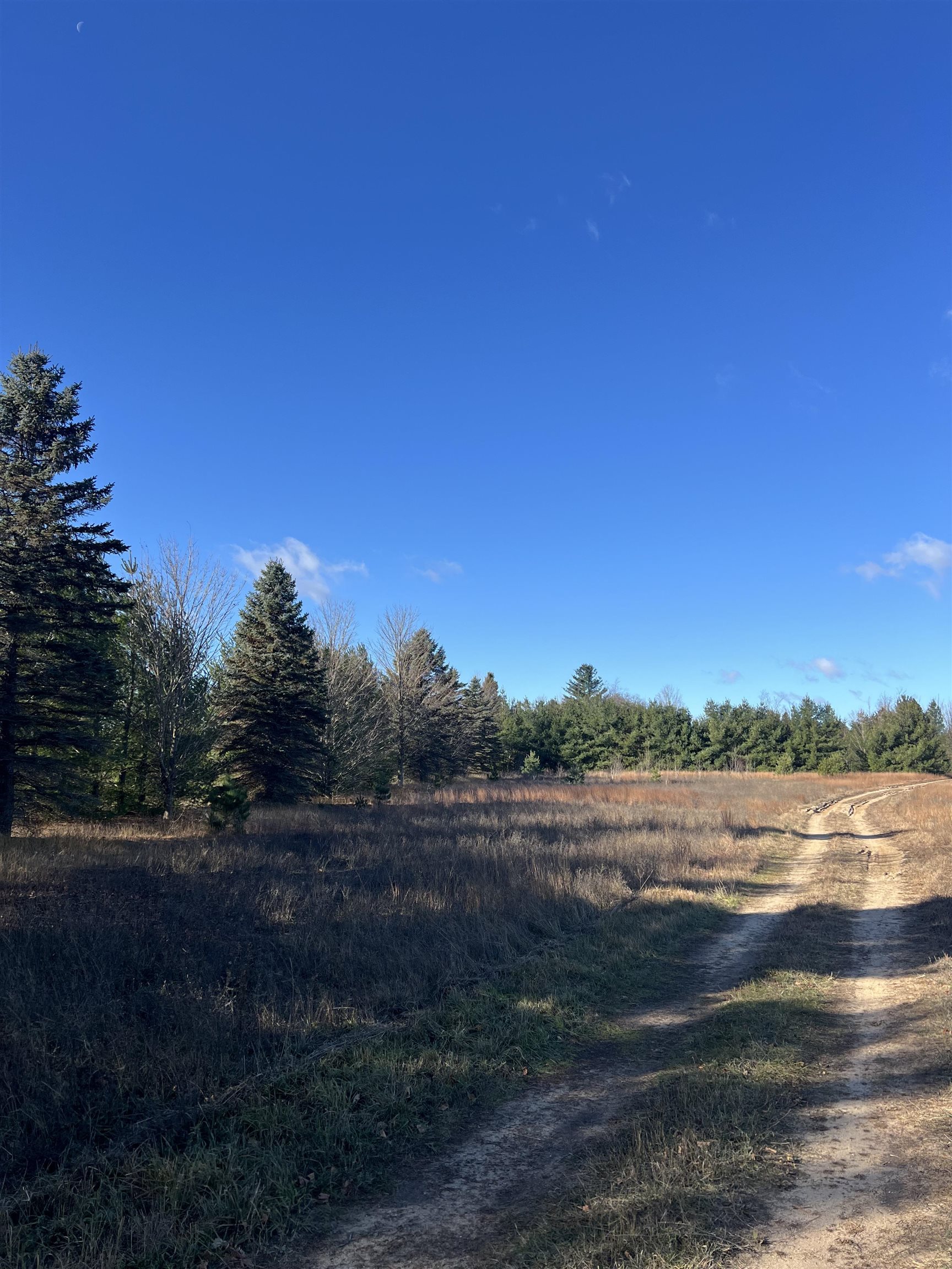 Vacant Land Johnson Road