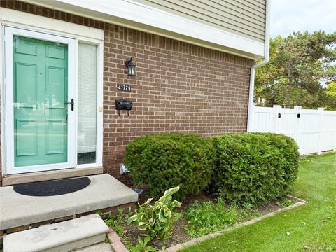 41729 Broquet Drive Novi City MI 48167