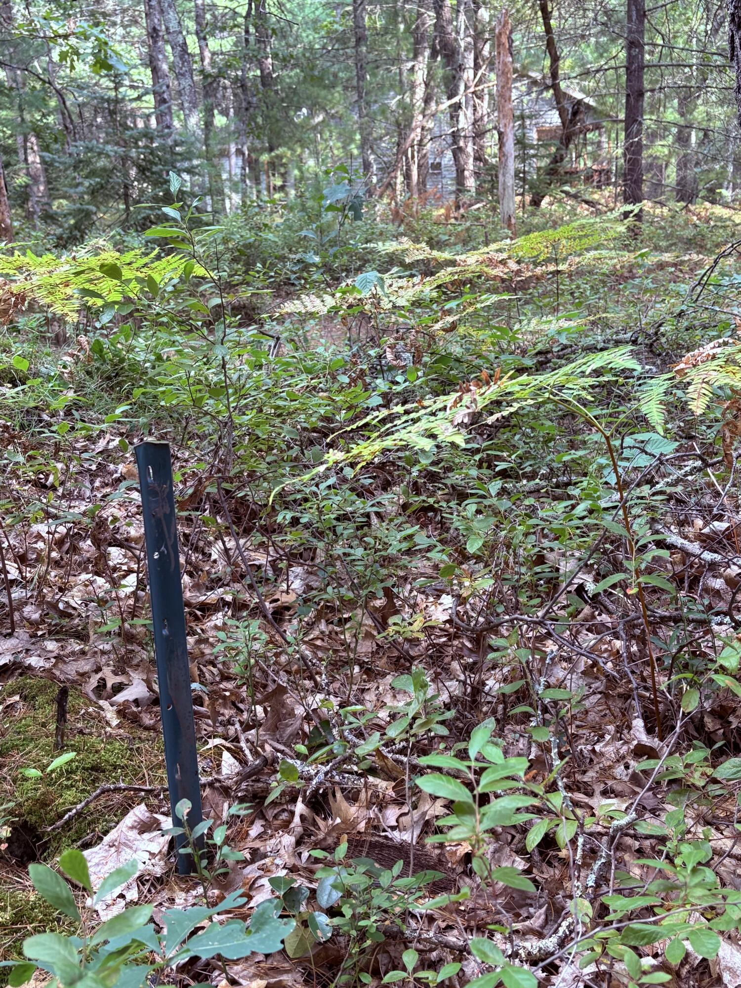 00 S Shady Grove Drive