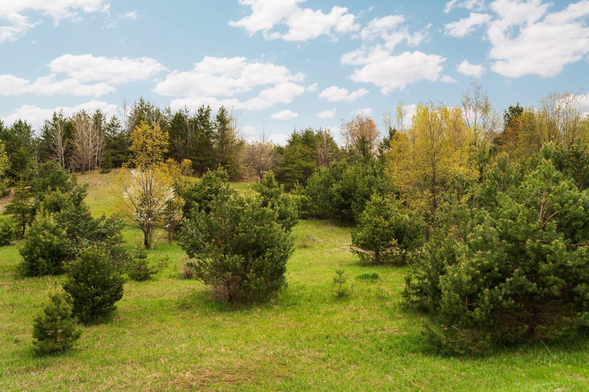 001 W County Line Road