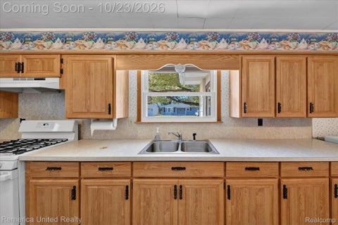 Tiny photo for 5449 Military Avenue, Brighton Township, MI 48116 (MLS # 20261078348)