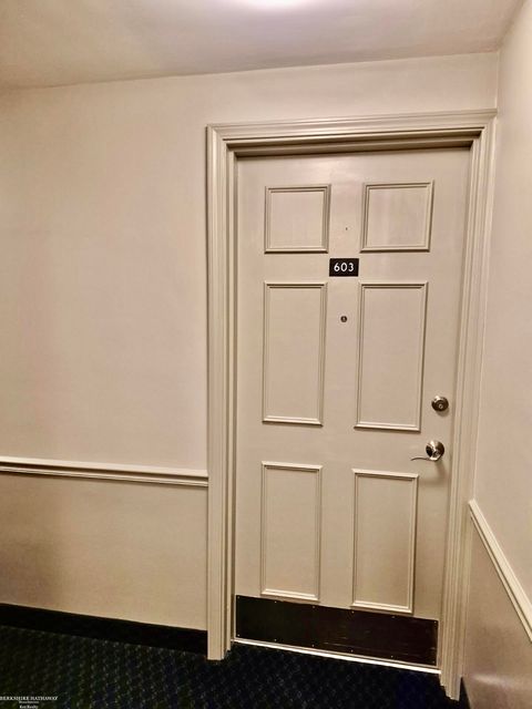 Tiny photo for 20 Chestnut Street, Wyandotte City, MI 48192 (MLS # 58050211111)