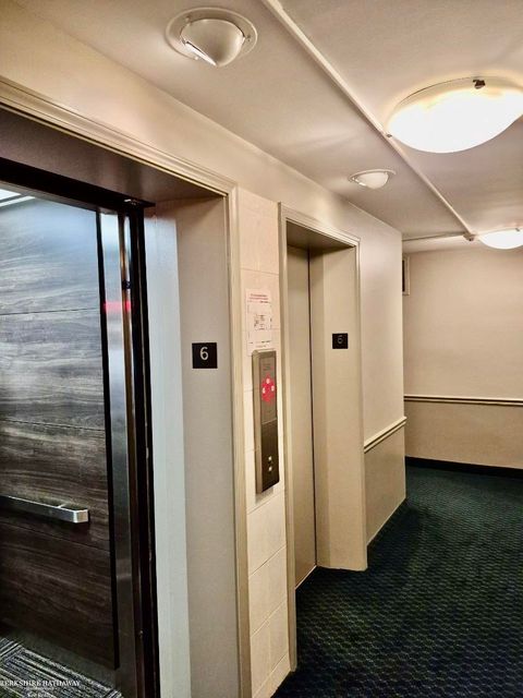 Tiny photo for 20 Chestnut Street, Wyandotte City, MI 48192 (MLS # 58050211111)