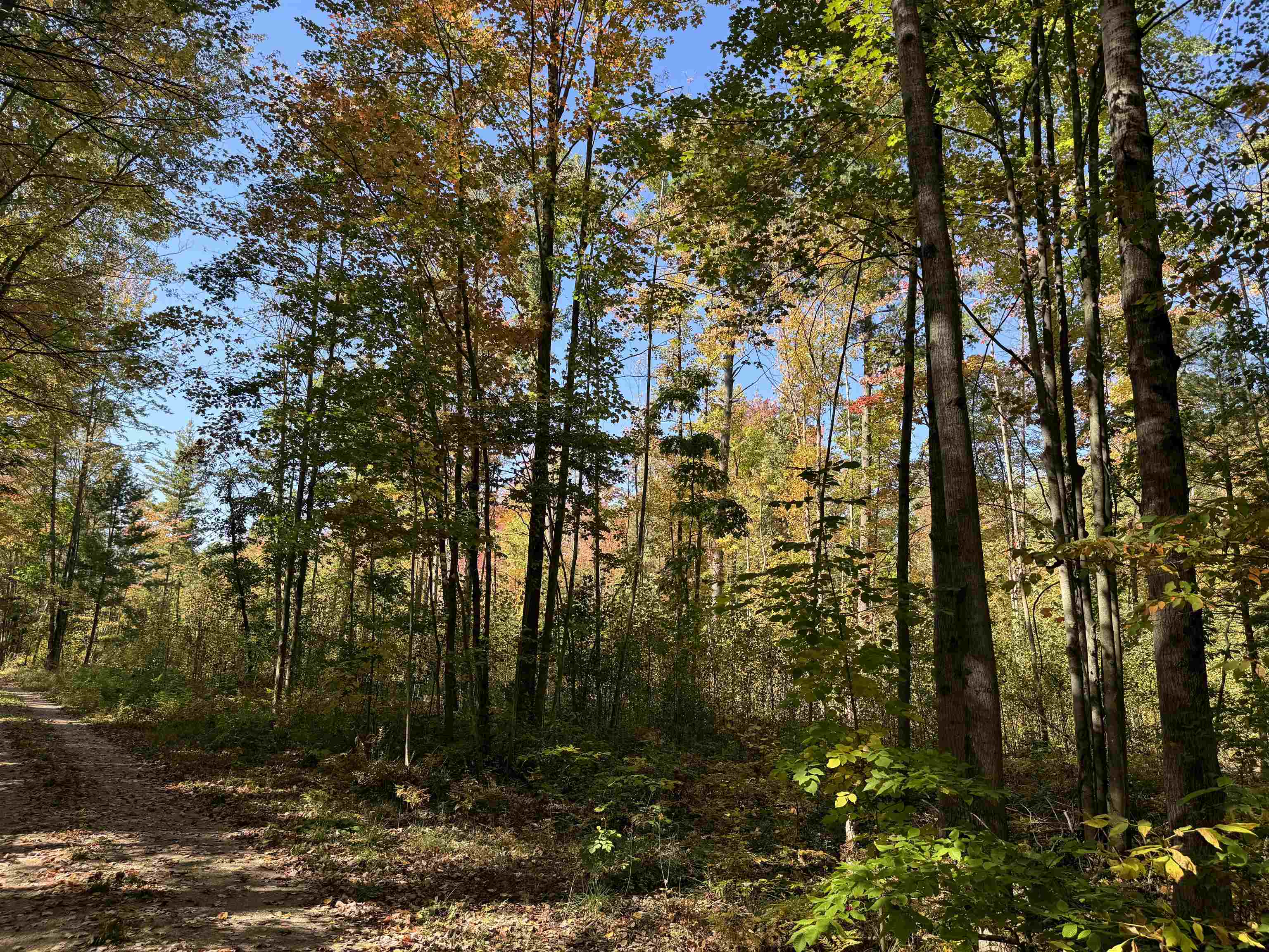 00 Cranberry Lake Road
