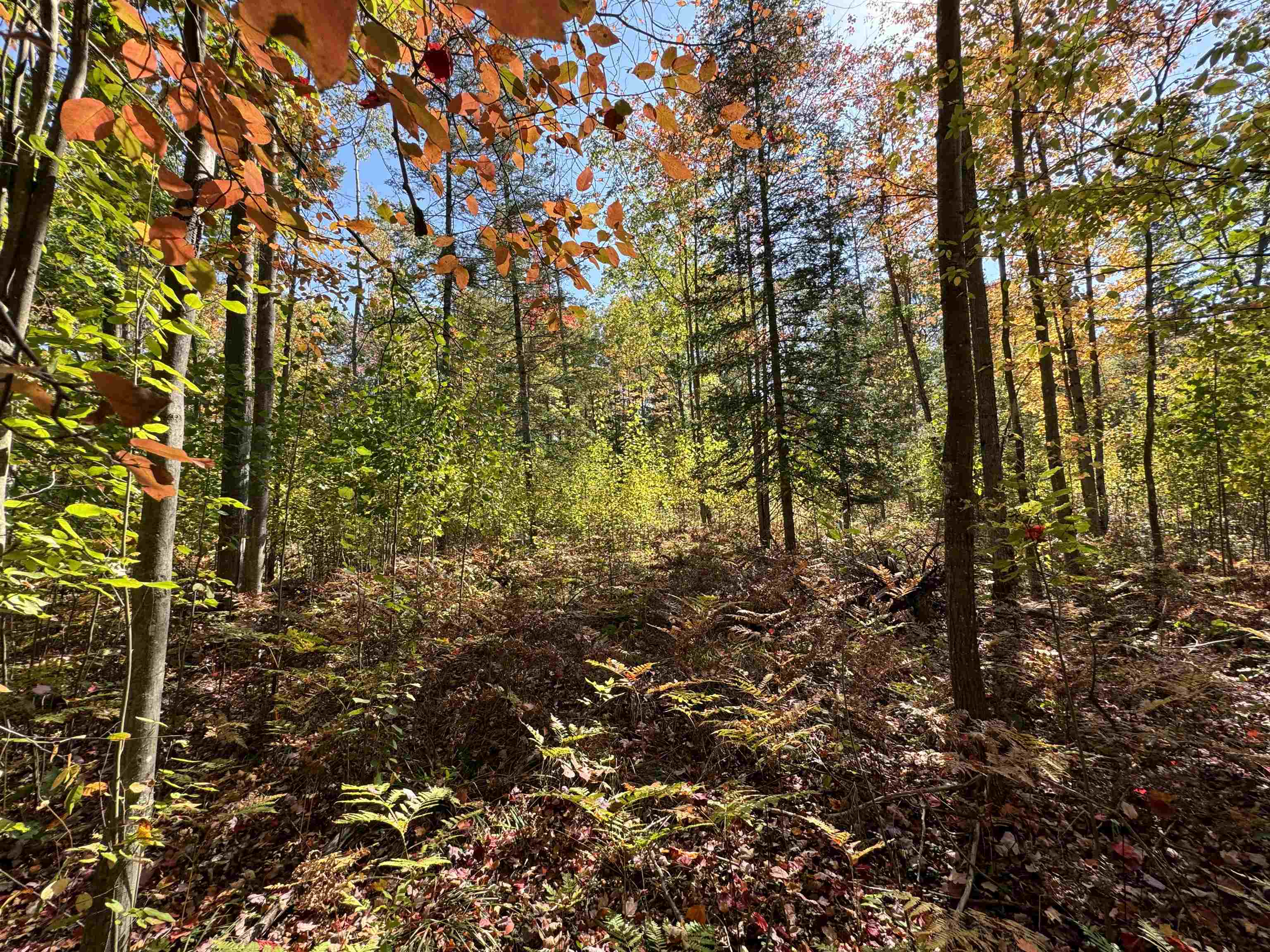 00 Cranberry Lake Road